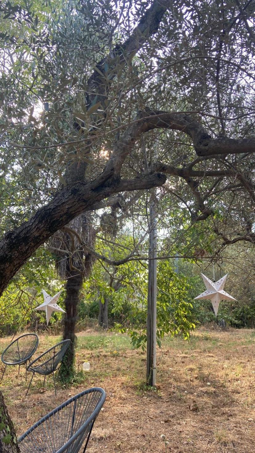 Bolsena Cento20 - Rooms & Relax エクステリア 写真